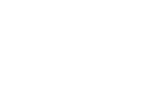 BorgWarner Turbo System