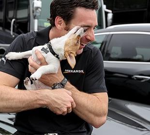 It's a charmed dog's life for Pagenaud's puppy Norman