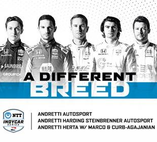 Three teams, five athletes, one Andretti banner