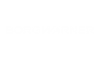 BorgWarner