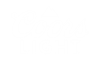 Coors Light